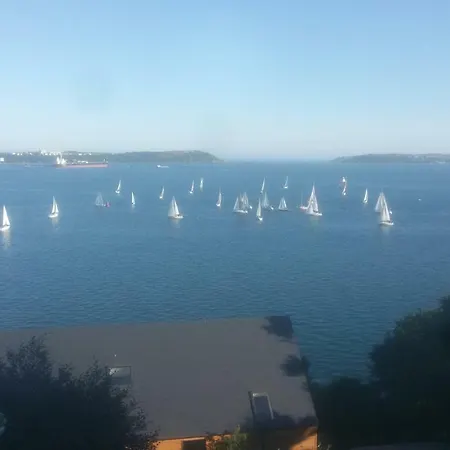Buena Vista Cobh