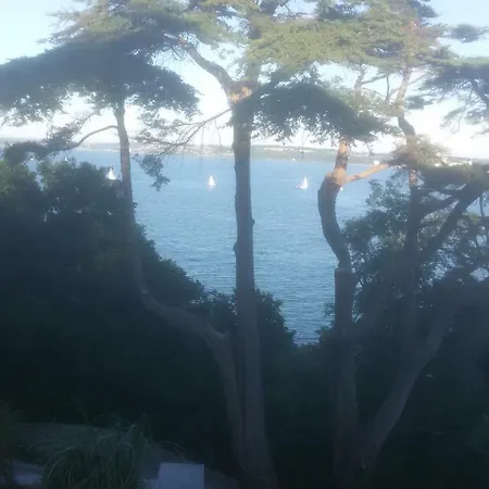 Buena Vista Cobh