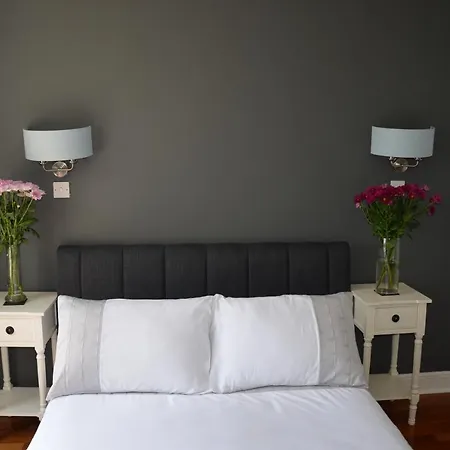 Bed & Breakfast Buena Vista