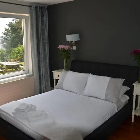 Buena Vista Bed & Breakfast
